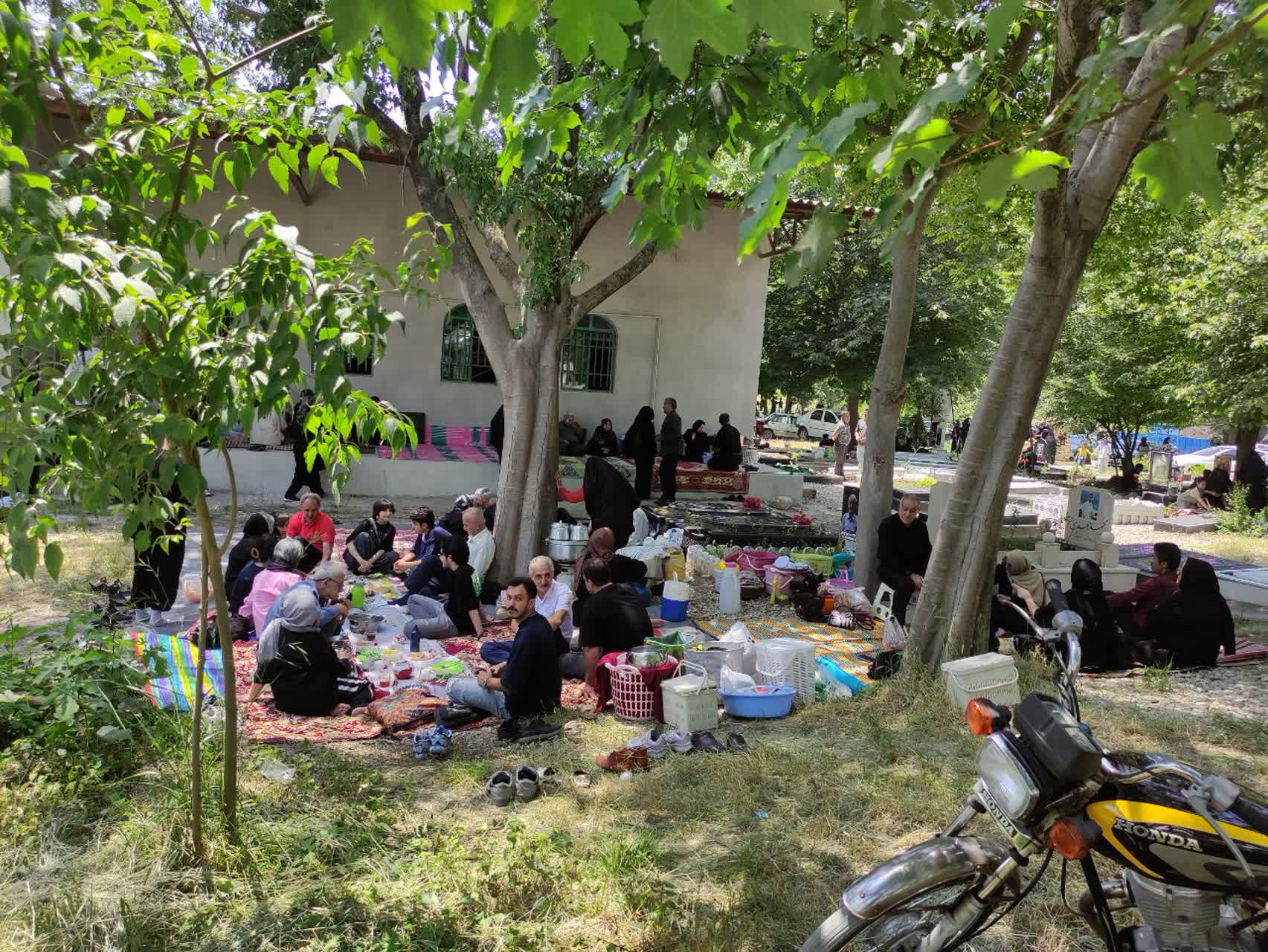 تصویر شاخص